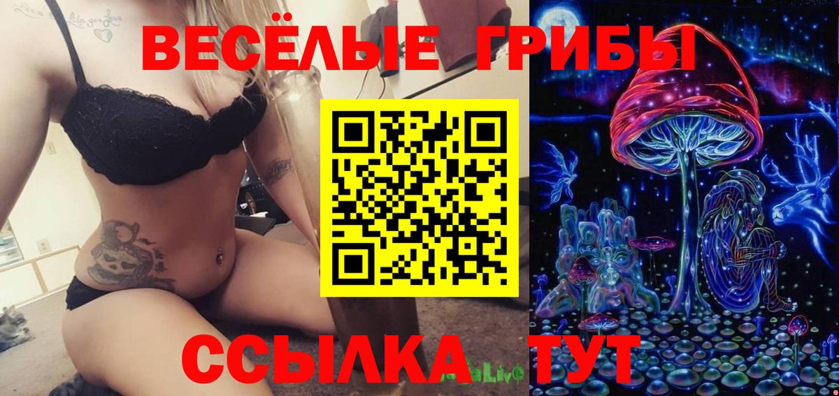 Псилоцибиновые грибы мухоморы Мелеуз