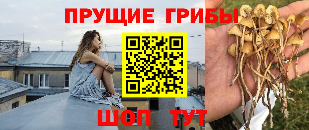 Мелеуз  Галлюциногенные грибы ЛСД  Вход с VPN  Галлюциногенные грибы мухоморы 